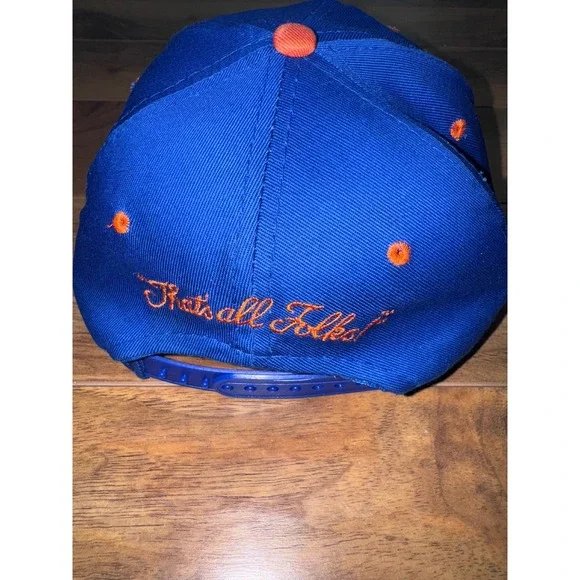 Vintage 1993 Looney Tunes Taz Florida gators Snapback Hat Blue Tazmanian Devil